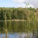 Mieta