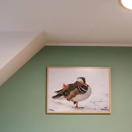 Bed & Breakfast Mieta