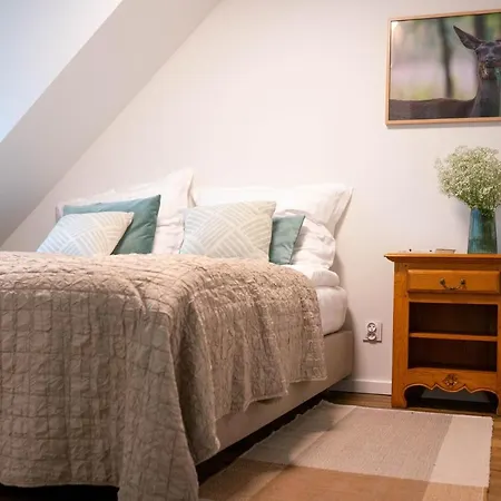 Oda ve Kahvaltı Mieta