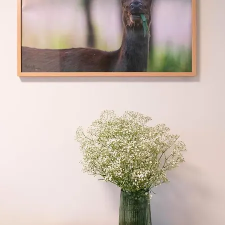 Mieta Oda ve Kahvaltı Wągrowiec