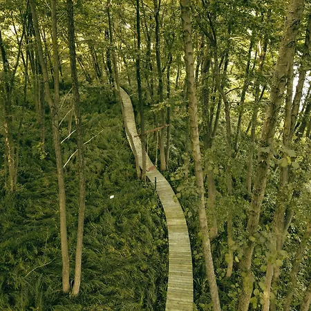 Oda ve Kahvaltı Mieta Wągrowiec