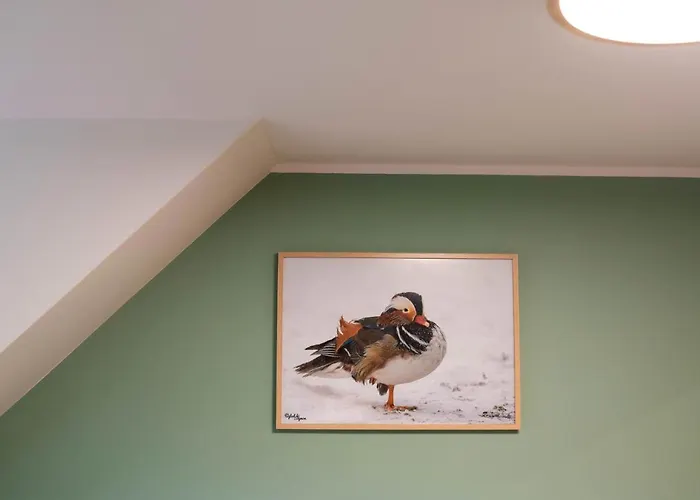 Bed & Breakfast Mieta