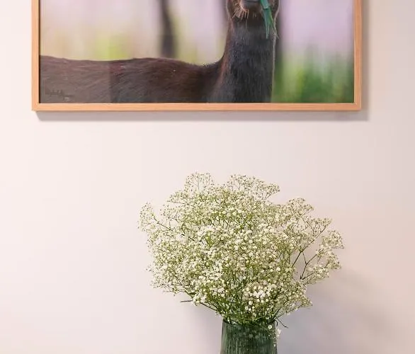 Mieta فندق مبيت وإفطار Wągrowiec