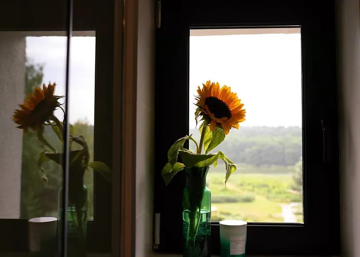 Bed & Breakfast Mieta 3*