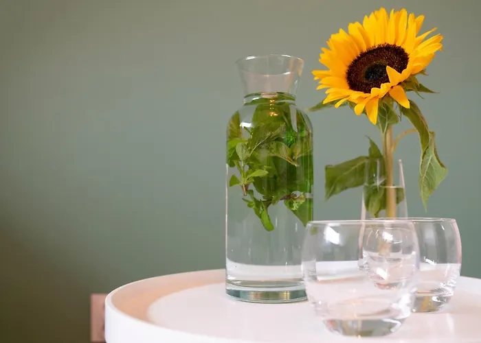 Bed & Breakfast Mieta Wagrowiec