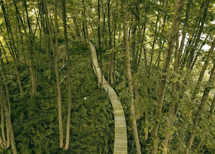 Bed & Breakfast Mieta Wagrowiec